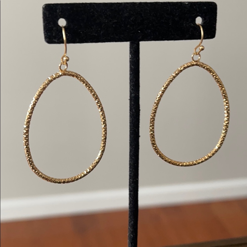 Oblong drop hoop earrings